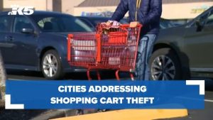 Sacramento Leaders Are Considering Holding Business Owners Responsible For Preventing Shopping Cart Theft