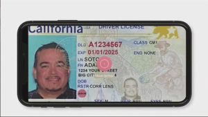 California To Make Physical Driver’s Licenses Optional