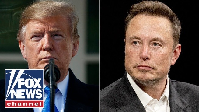 Trump Proposes Government Efficiency Commission Headed by Musk