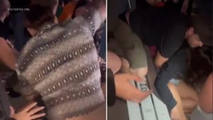 Woman Beaten Unconscious During Concert at Rose Bowl