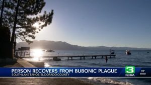 California Resident Tests Positive For Plague