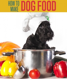 ft-image-how-to-make-homemade-dog-food