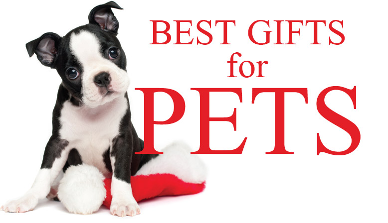 Gift Idea PETS 1