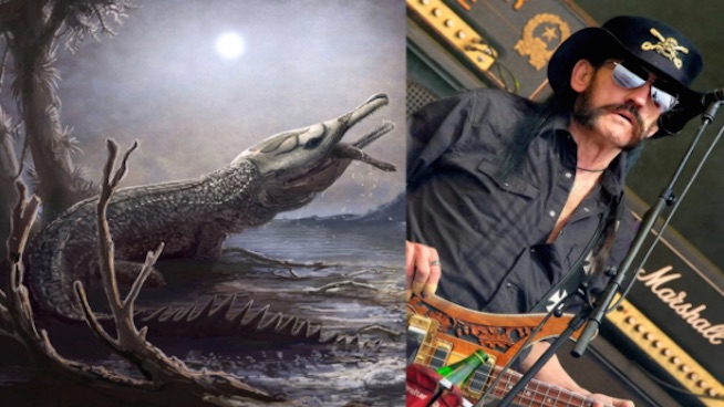 Prehistoric predator named after Lemmy Kilmister