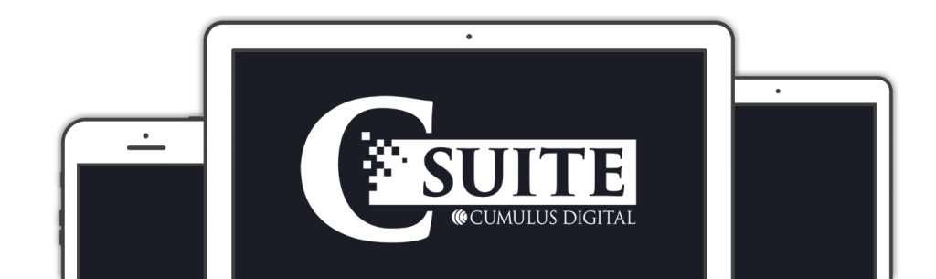 C-Suite: Maximizing Digital C-Suite: Maximizing Digital