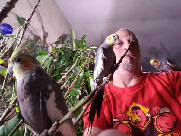 Listener Robert and his birds