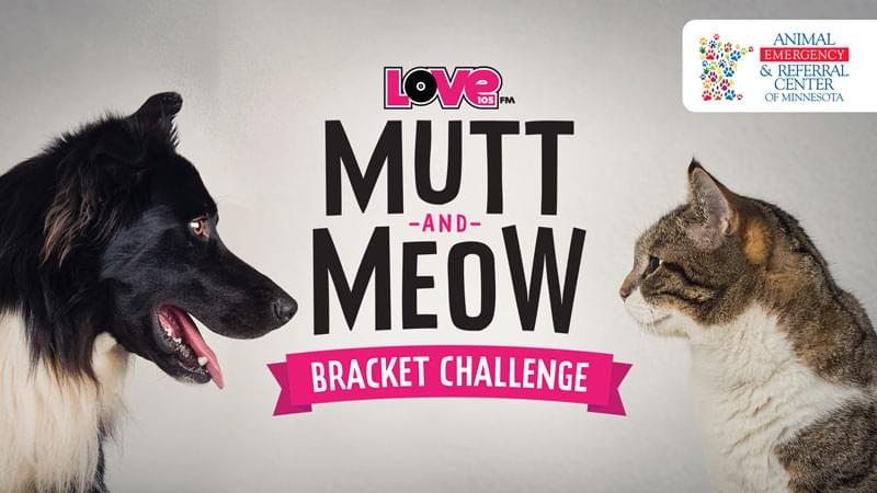 Love 105’s Mutt and Meow Bracket Challenge