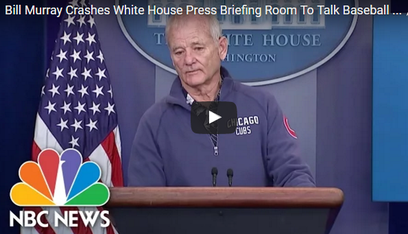 Only Bill Murray Could Get Away With This!