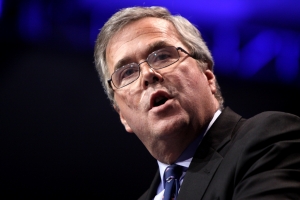 jebbush