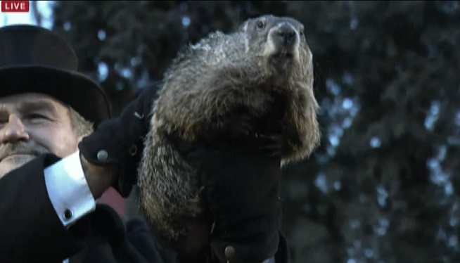Early spring coming, Punxsutawney Phil prognosticates