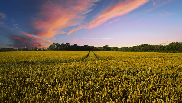 #LarryOQuestion: Have Democrats given up on rural America?