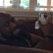 ktck_campound_2015 (31)