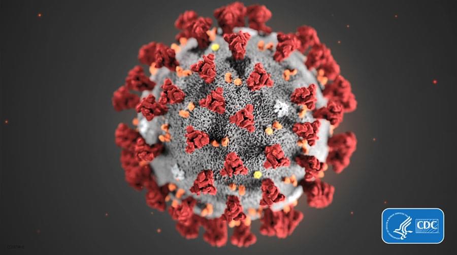 Is the Stock Market Affected by Coronavirus?