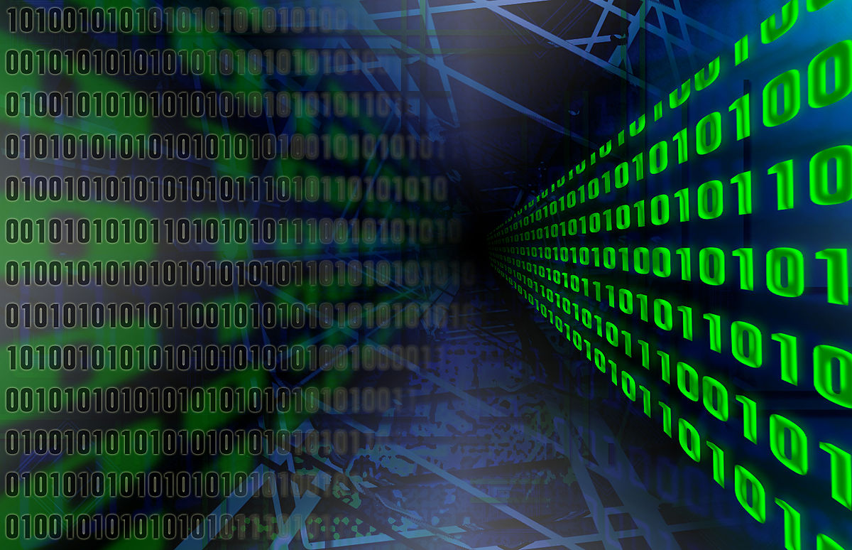 A Careless Dallas IT Worker is Looking for a New Job