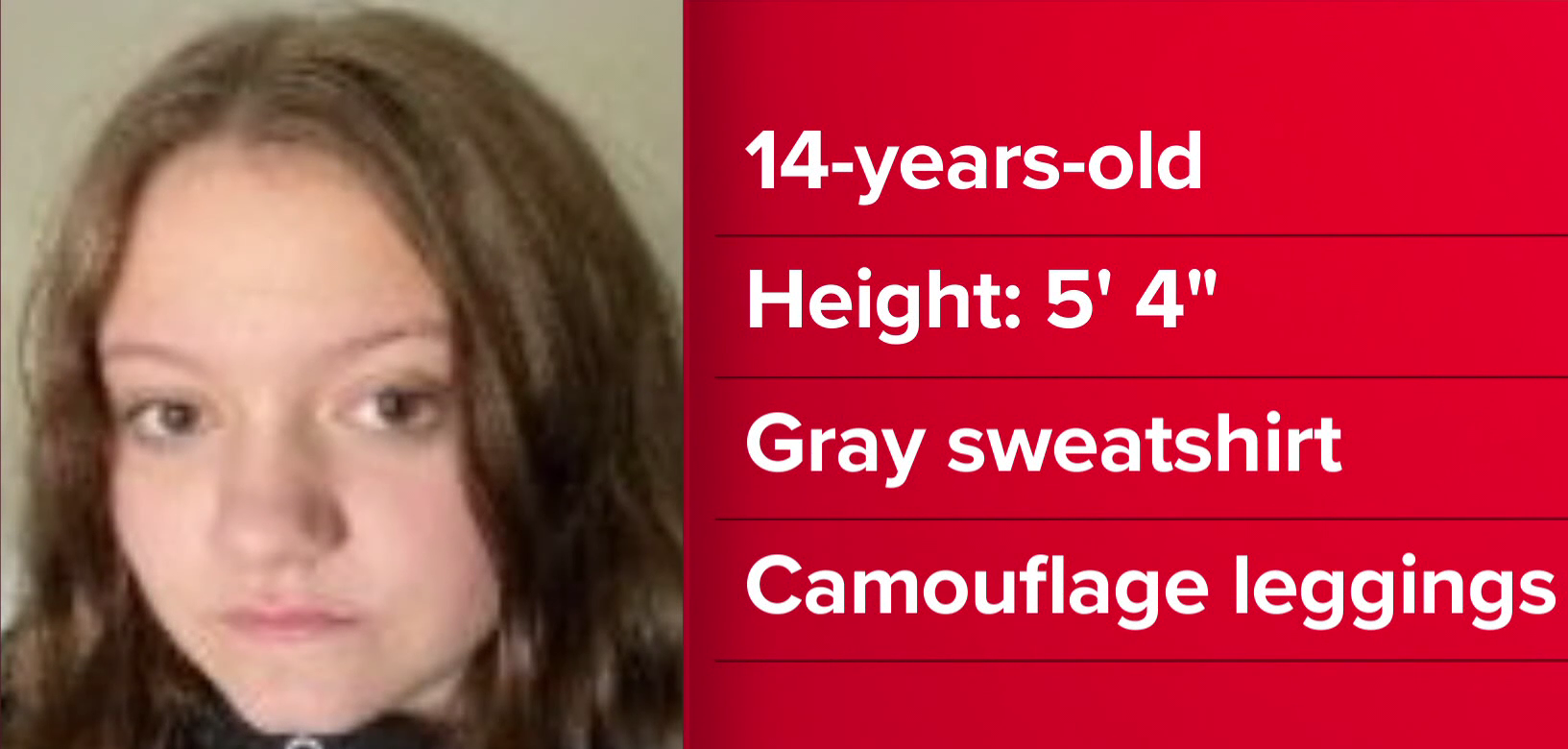 Amber Alert Discontinued: 14 Year Old Fairview Girl Found