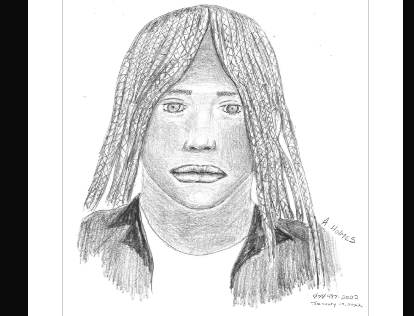 Dallas Police Release Sketch of Woman Accused of Sexually Assaulting Child Near Elementary School