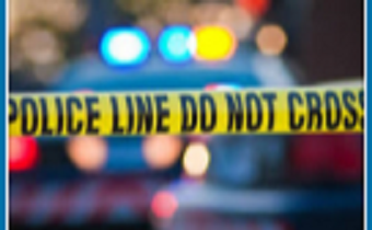 Injured Dog Sitter Sues