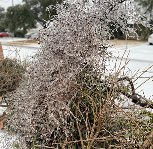 Activities in North Texas Freeze amid Winter Blast