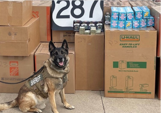 Wise County K-9 Unit Makes $1.7 Million Drug Bust
