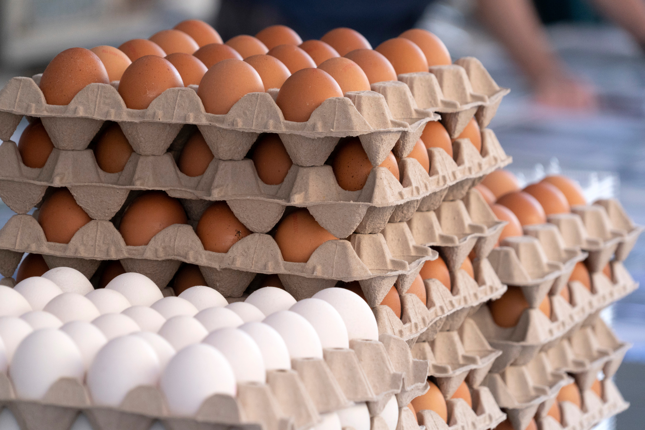 Black Sheep Egg Company of Arkansas Recalls Free-Range Brown Eggs Over Salmonella Concerns
