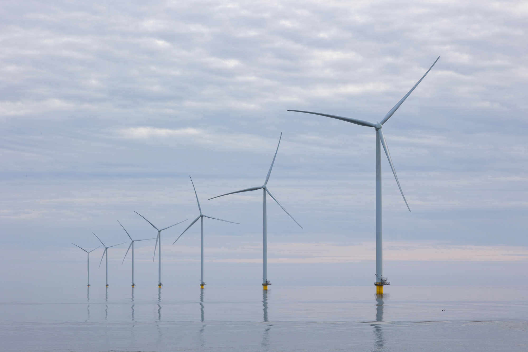 Judge Allows a Third Offshore Wind Project to Resume Construction as the Industry Challenges Trump