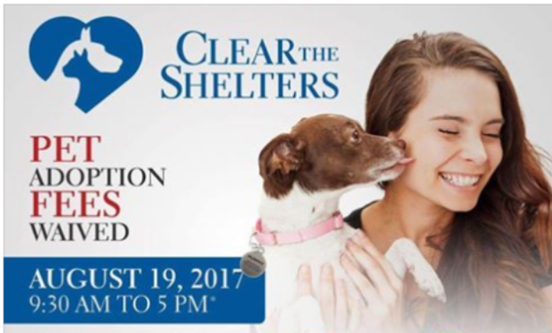 Clear The Shelters Day is Saturday Aug 19th: Adoption Fees Waived