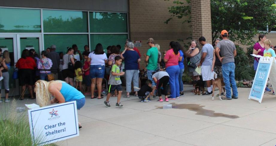 Success in North Texas!  Over 7,300 Pets Adopted During ‘Clear The Shelters’ Day