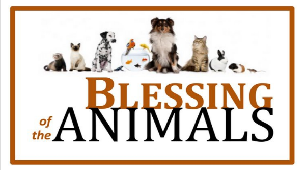 Annual Event of Blessing of the Animals Happening this Weekend