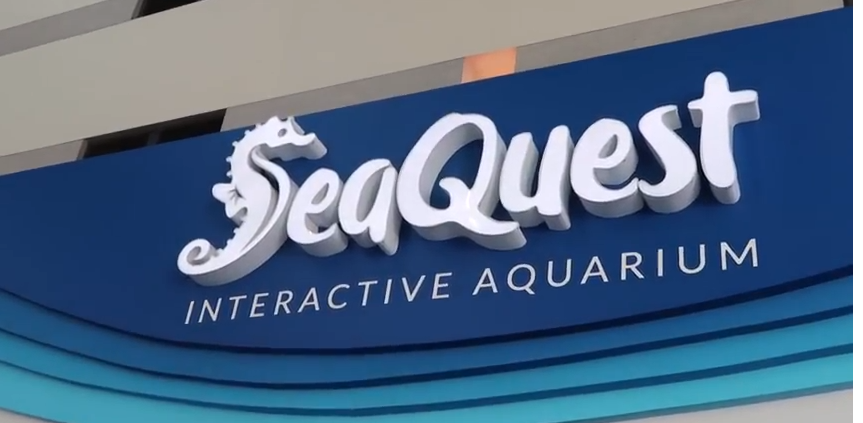 SeaQuest Interactive Aquarium Opens at Ridgmar Mall Next Weekend