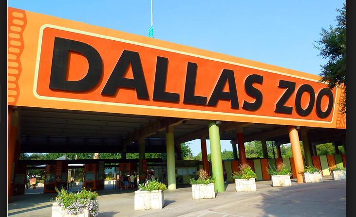 Monday is Winter Dollar Day at the Dallas Zoo