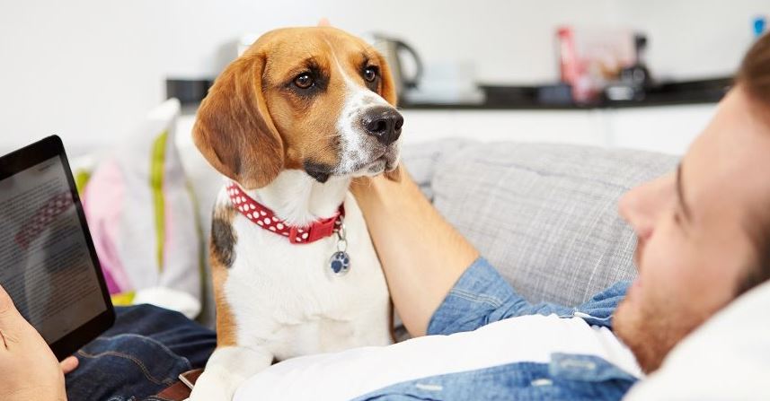Talking to Your Pets Is a Sign of Social Intelligence