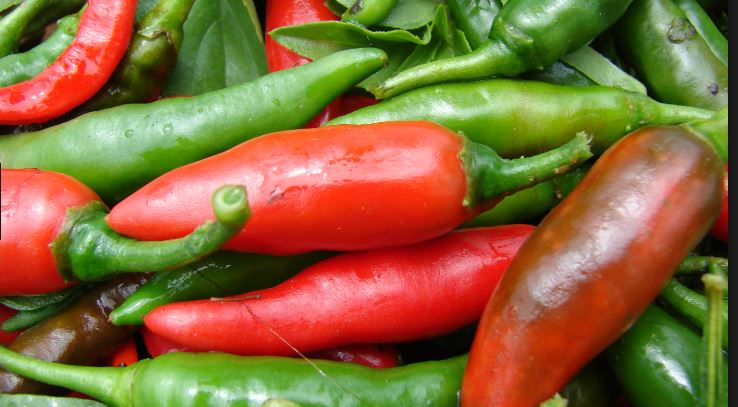 Research Shows Frequent Spicy Food Consumption Linked with Longer Life