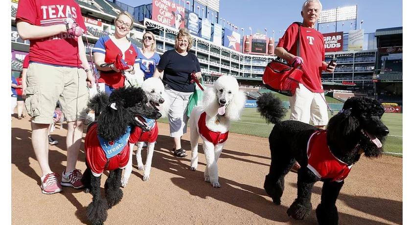 Texas Rangers Bark at the Park is Next Saturday