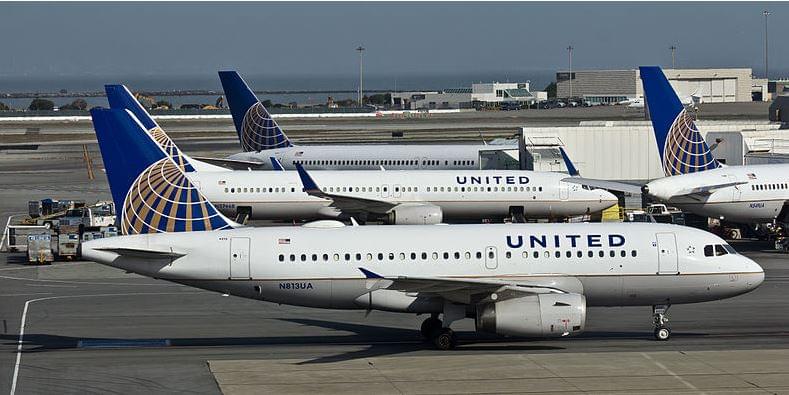 Third Dog Incident Reported at United Airlines in One Week
