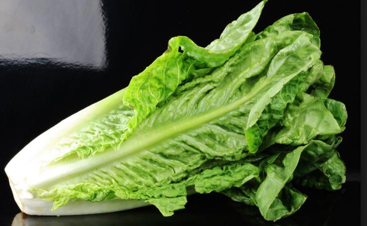 CDC Urges Everyone to Throw Out All Romaine Lettuce