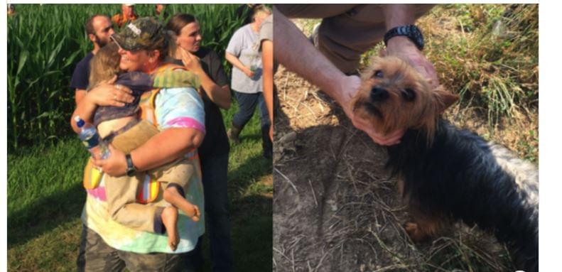 Missing 3-Year-Old Girl Found in Cornfield, Yorkie at Her Side