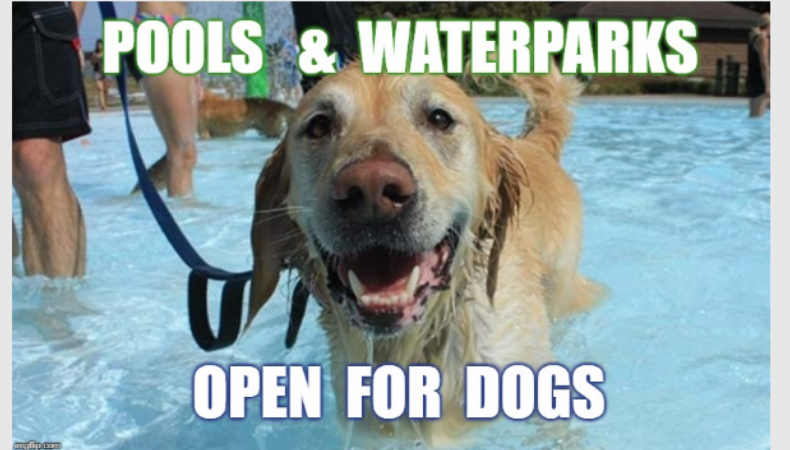 Waterparks & Pools Open for DOGS
