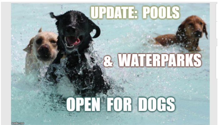 Updated: More Pools & Waterparks Open for Dogs