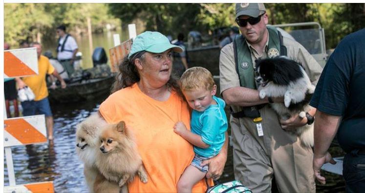 Woman Saved Animals from Hurricane, Arrested for Not Having Permit