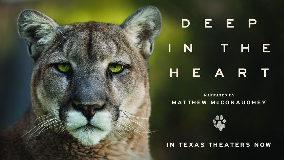 Matthew McConaughey Goes Texas Wild