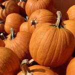 Check Out These Pumpkin Patches In DFW