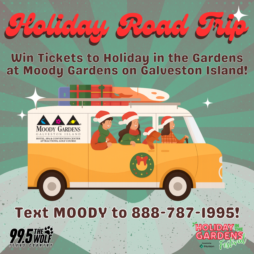 Holiday Road Trip to Moody Gardens on Galveston Island!