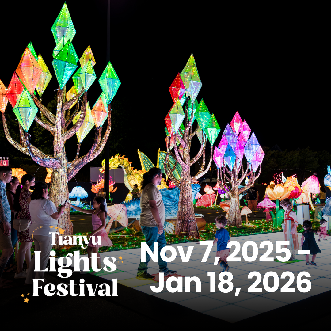 Step Into the Magic at Tianyu Lights Festival!