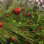 Over 100 Things To Do In DFW This Christmas