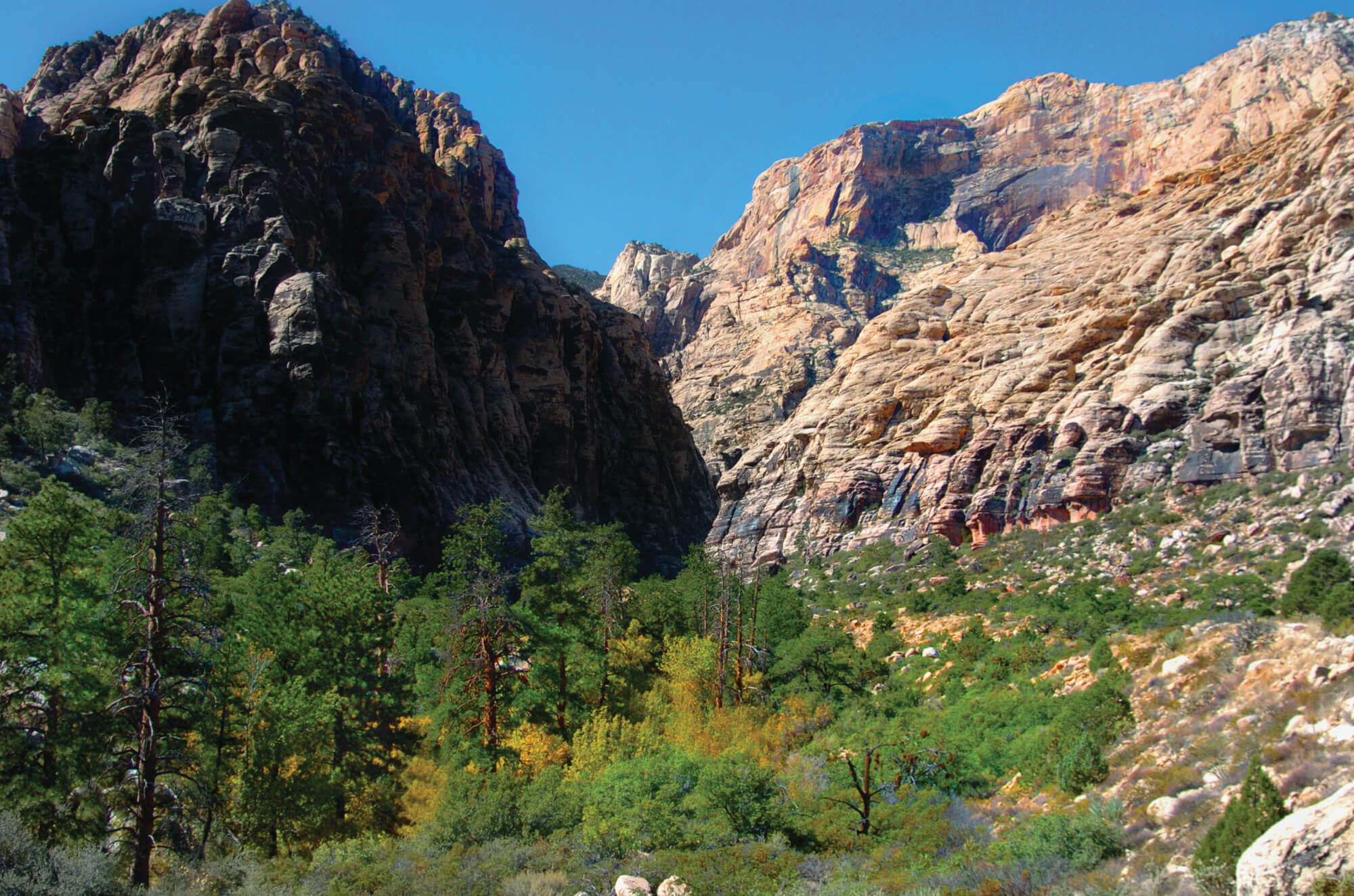 PM_Mt Charleston_05 PM_Mt Charleston_05