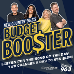 Win $100 with Budget Booster!