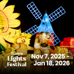 Step Into the Magic at Tianyu Lights Festival!