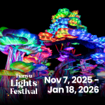 Win Tickets to Tianyu Lights Festival in Grand Prairie!