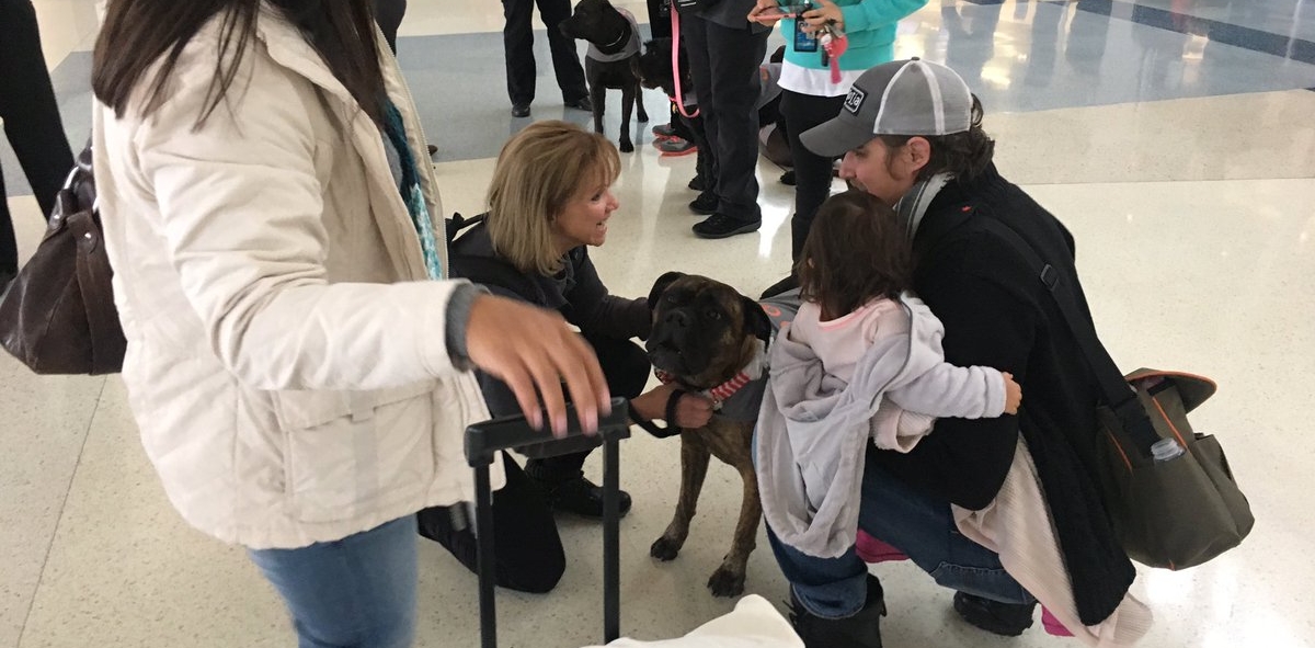 More Than Three Million Expected at DFW Over Holidays