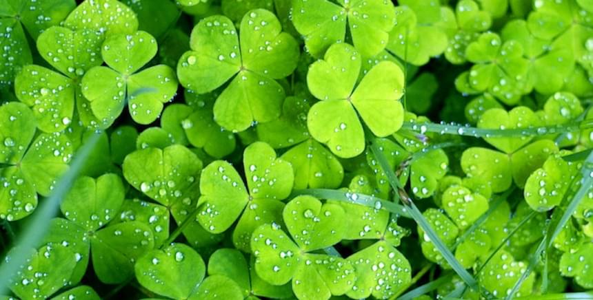 Dallas St. Patrick’s Parade is On for Saturday
